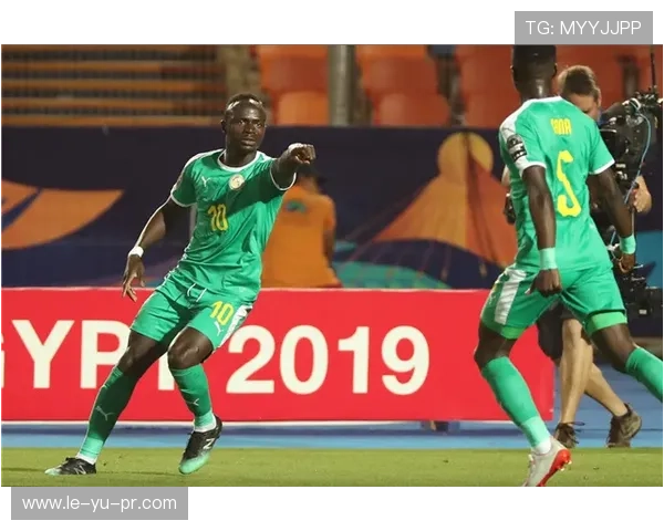 非洲杯决赛经典时刻再现,巅峰对决点燃全场激情