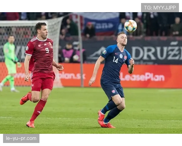 匈牙利绍洛伊锋线